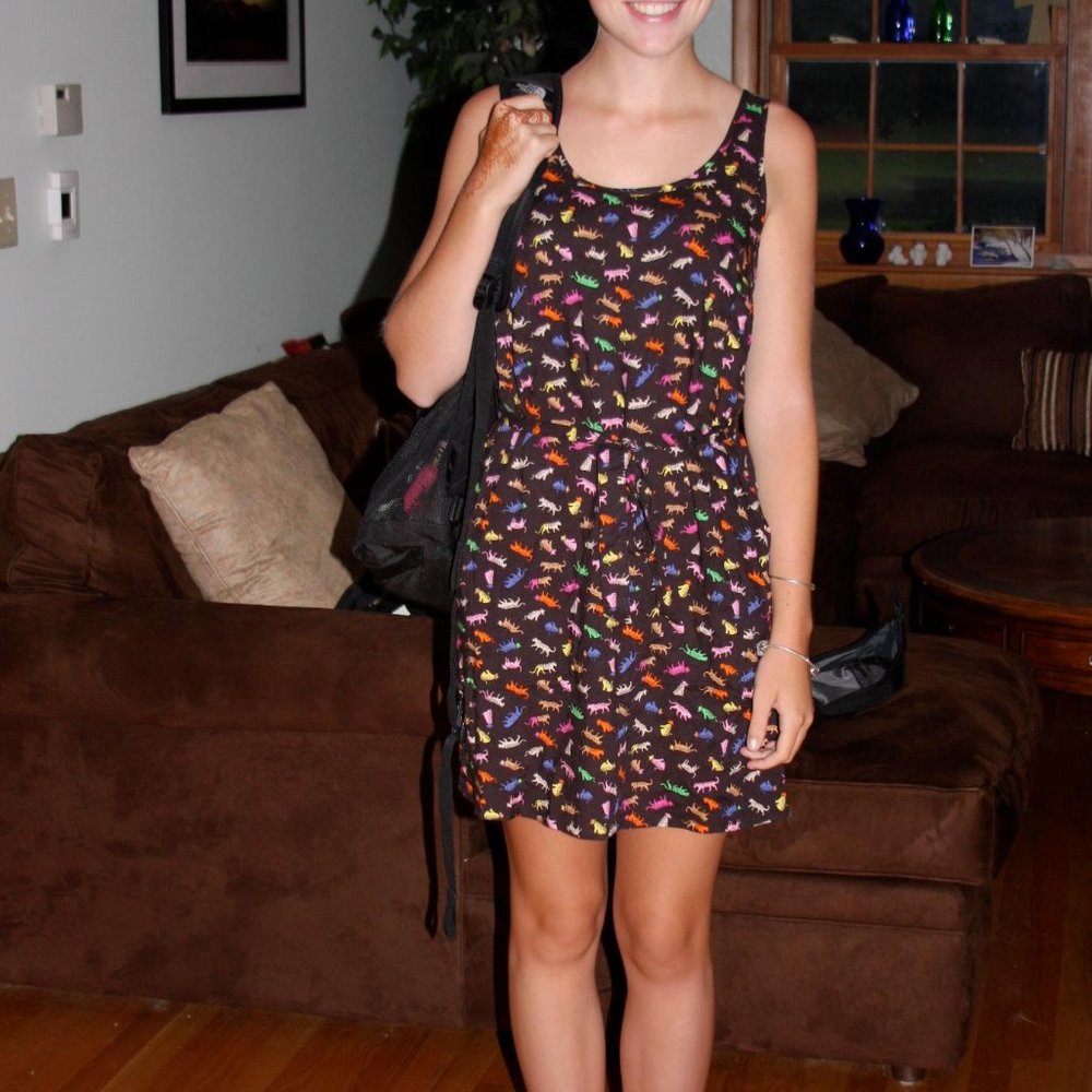 H&M Dress